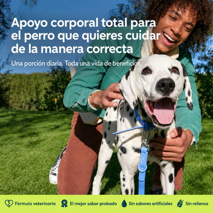 Multivitamínico en polvo 11 en 1 para perros