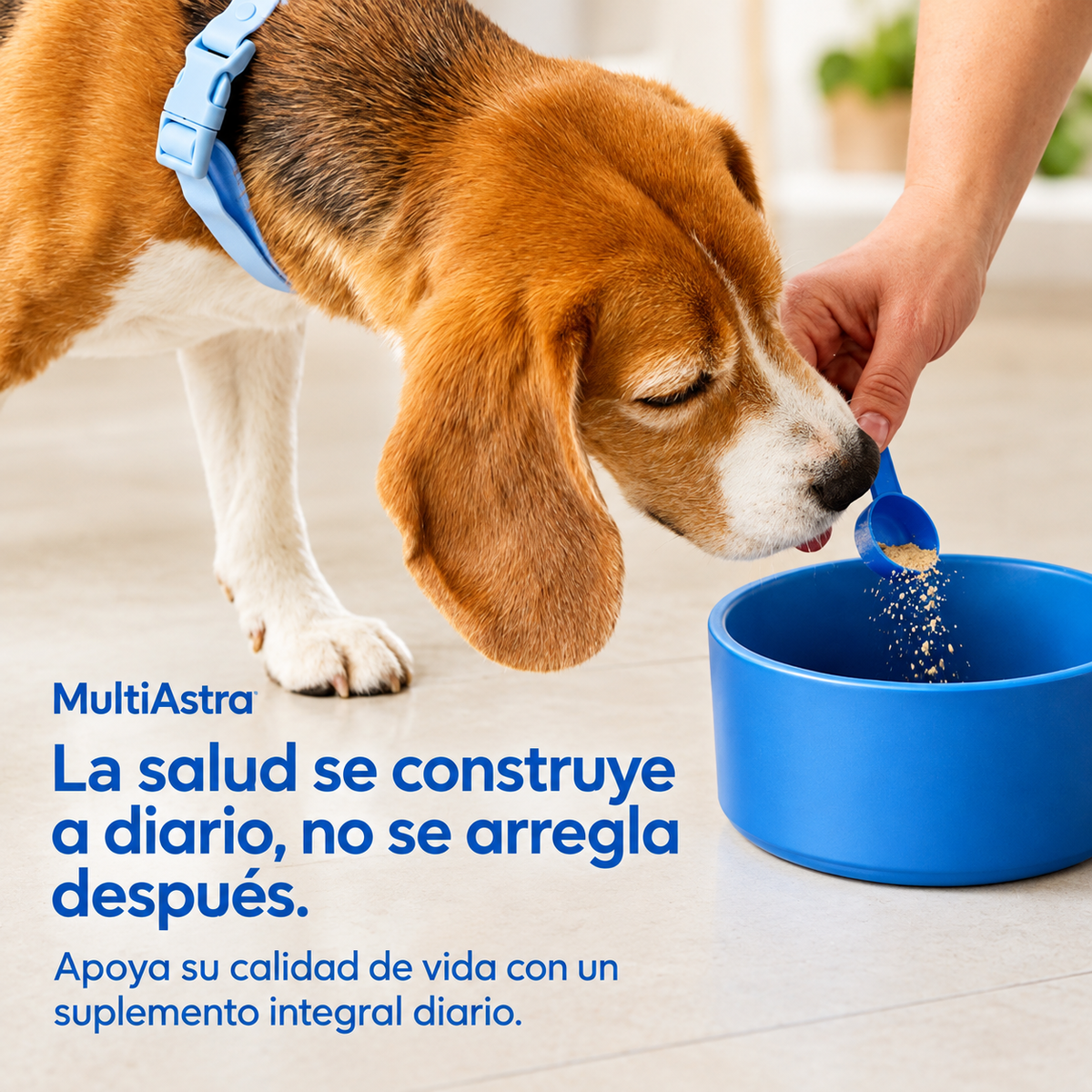 Multivitamínico en polvo 11 en 1 para perros