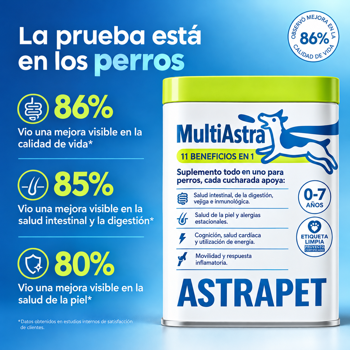 Multivitamínico en polvo 11 en 1 para perros