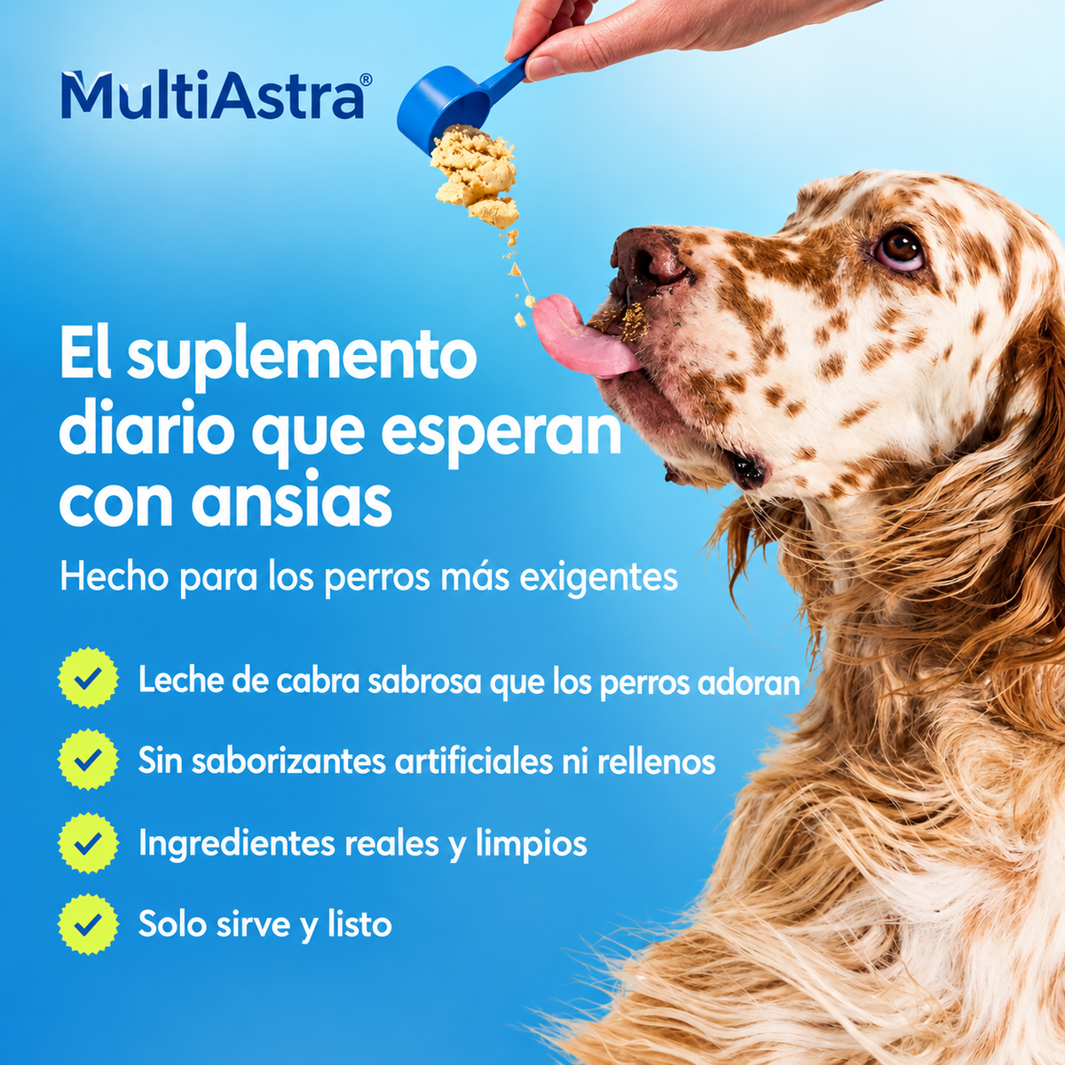 Multivitamínico en polvo 11 en 1 para perros