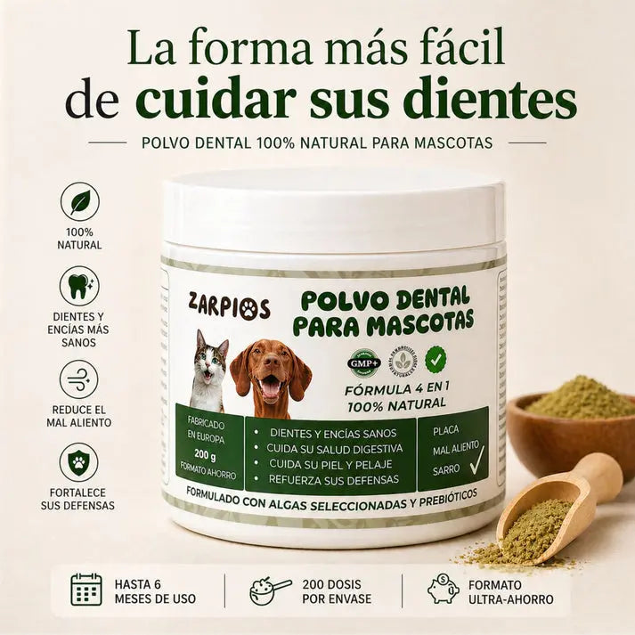 Polvo Dentales Natural 4 en 1 AstraEvo