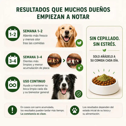Polvo Dentales Natural 4 en 1 AstraEvo
