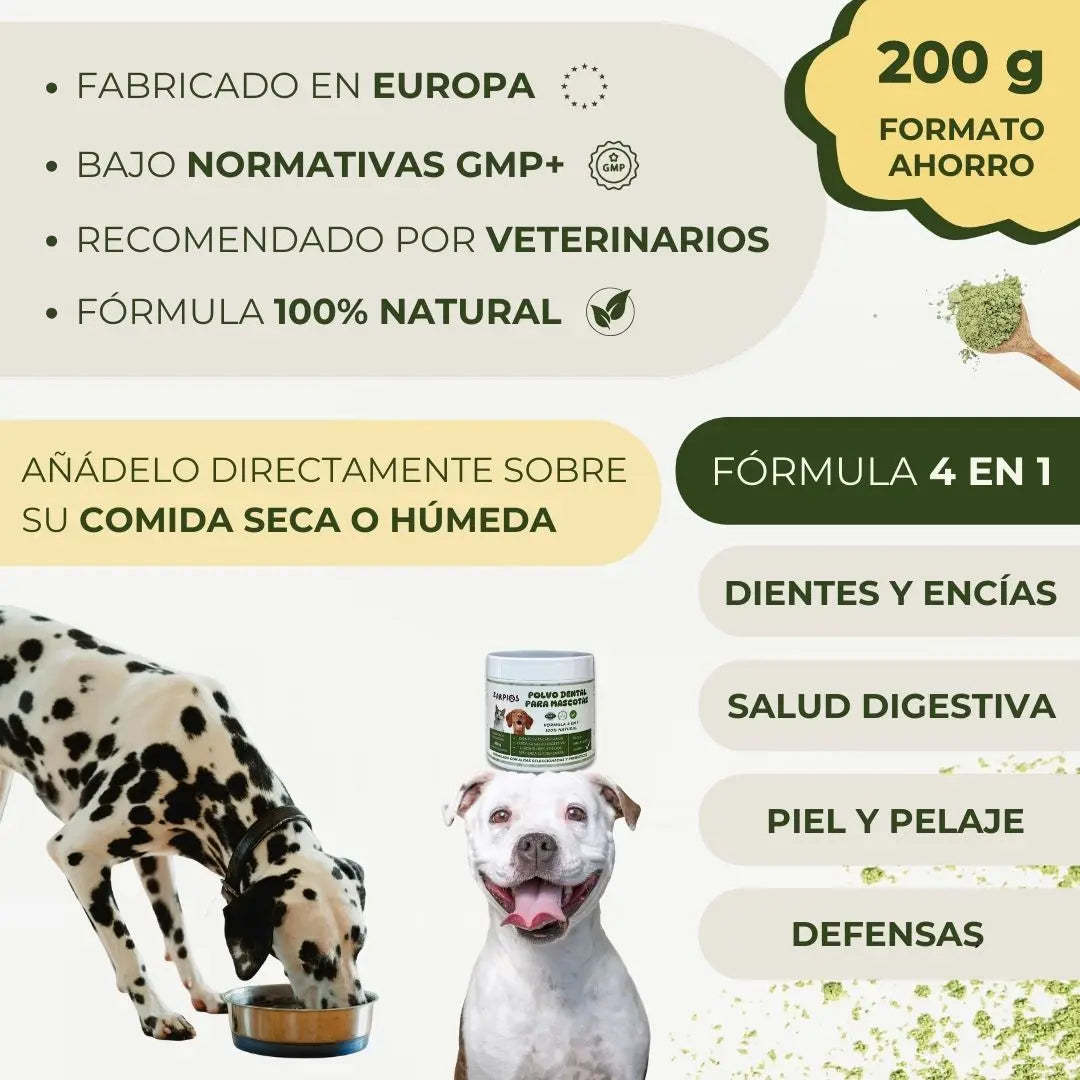 Polvo Dentales Natural 4 en 1 AstraEvo