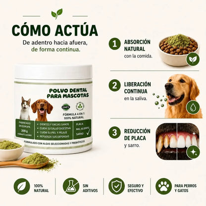 Polvo Dental Natural 4 en 1