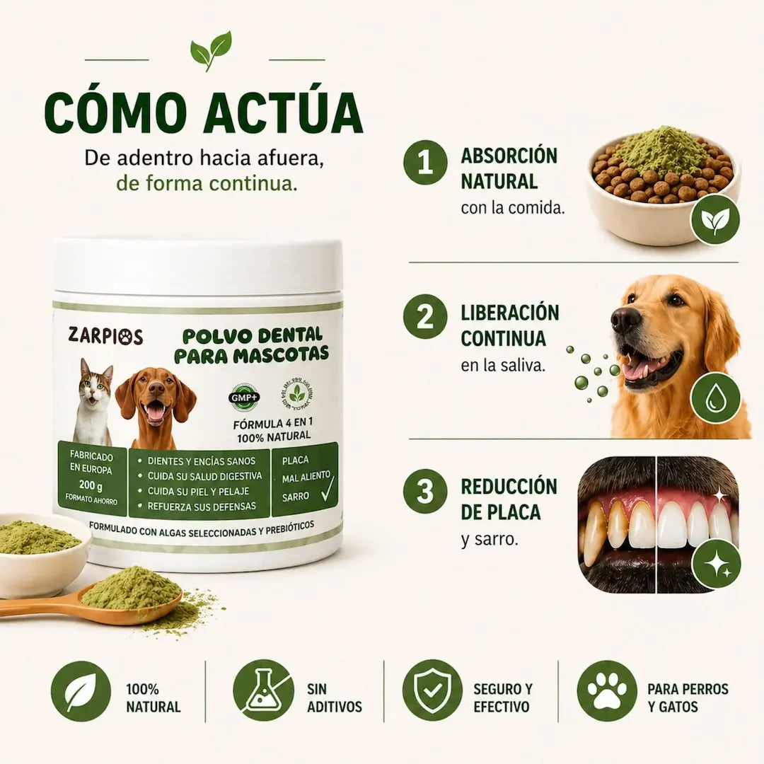 Polvo Dentales Natural 4 en 1