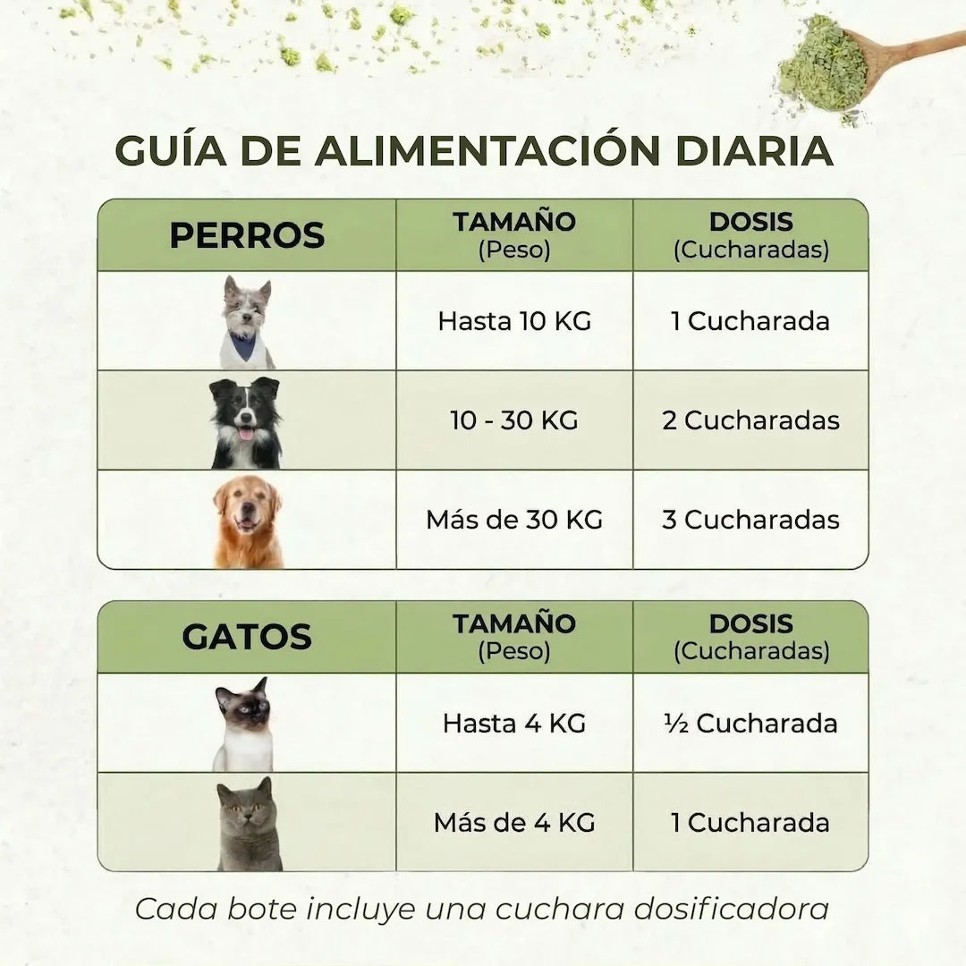 Polvo Dentales Natural 4 en 1