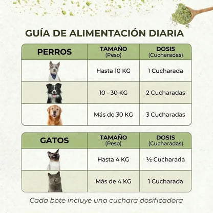 Polvo Dental Natural 4 en 1