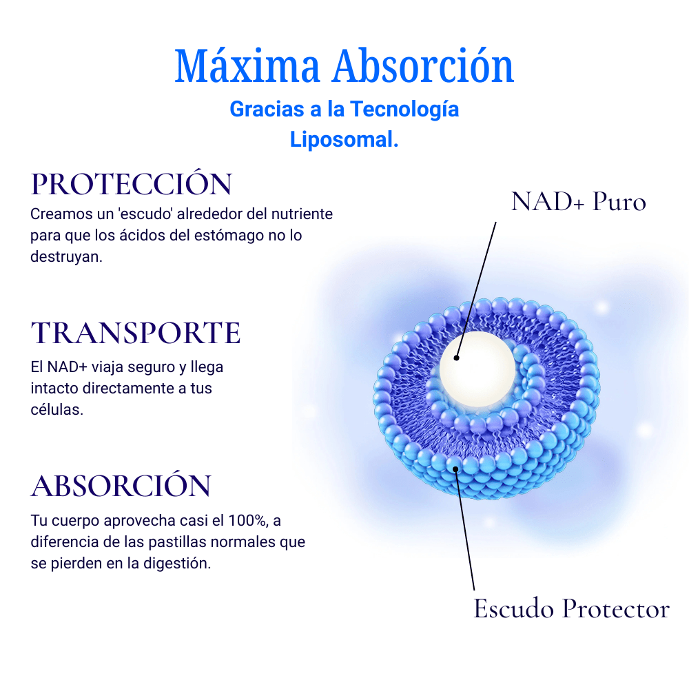 NAD+ Liposomal – Vitalidad y Longevidad - AstraEvo
