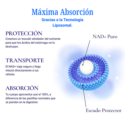 NAD+ Liposomal – Vitalidad y Longevidad - AstraEvo